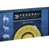 45-70 GOVERNMENT ammo